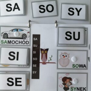 Paradygmaty cz.2 z głoską z S, Z, K, G, J, N, SZ, RZ, Ż i rzeczowniki